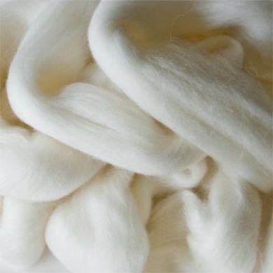 21-24 Micron Carded Polwarth Wool Roving - Natural White