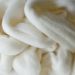 21-24 Micron Carded Polwarth Wool Roving - Natural White