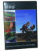 The Ashford Way DVD